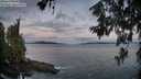 ./images/koeye/fitz-hugh/20260610/fitz-hugh20260610_051001M.jpg