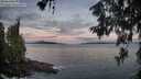 ./images/koeye/fitz-hugh/20260610/fitz-hugh20260610_051501M.jpg