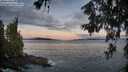 ./images/koeye/fitz-hugh/20260610/fitz-hugh20260610_052501M.jpg