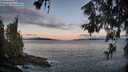 ./images/koeye/fitz-hugh/20260610/fitz-hugh20260610_053002M.jpg
