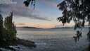 ./images/koeye/fitz-hugh/20260610/fitz-hugh20260610_053501M.jpg