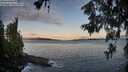 ./images/koeye/fitz-hugh/20260610/fitz-hugh20260610_054501M.jpg