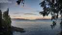 ./images/koeye/fitz-hugh/20260610/fitz-hugh20260610_055501M.jpg