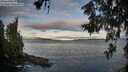 ./images/koeye/fitz-hugh/20260610/fitz-hugh20260610_060501M.jpg
