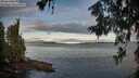 ./images/koeye/fitz-hugh/20260610/fitz-hugh20260610_061001M.jpg