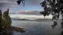 ./images/koeye/fitz-hugh/20260610/fitz-hugh20260610_061501M.jpg