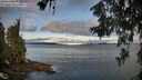 ./images/koeye/fitz-hugh/20260610/fitz-hugh20260610_062001M.jpg