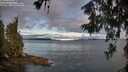 ./images/koeye/fitz-hugh/20260610/fitz-hugh20260610_062501M.jpg