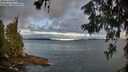 ./images/koeye/fitz-hugh/20260610/fitz-hugh20260610_063001M.jpg