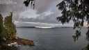 ./images/koeye/fitz-hugh/20260610/fitz-hugh20260610_063501M.jpg