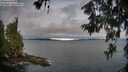 ./images/koeye/fitz-hugh/20260610/fitz-hugh20260610_064501M.jpg