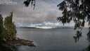 ./images/koeye/fitz-hugh/20260610/fitz-hugh20260610_065501M.jpg