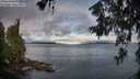 ./images/koeye/fitz-hugh/20260610/fitz-hugh20260610_070001M.jpg
