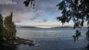 ./images/koeye/fitz-hugh/20260610/fitz-hugh20260610_070501M.jpg