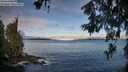 ./images/koeye/fitz-hugh/20260610/fitz-hugh20260610_071002M.jpg