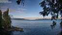 ./images/koeye/fitz-hugh/20260610/fitz-hugh20260610_071501M.jpg