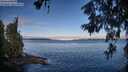 ./images/koeye/fitz-hugh/20260610/fitz-hugh20260610_072001M.jpg