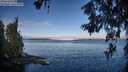 ./images/koeye/fitz-hugh/20260610/fitz-hugh20260610_072501M.jpg