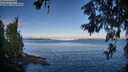 ./images/koeye/fitz-hugh/20260610/fitz-hugh20260610_073002M.jpg