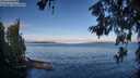 ./images/koeye/fitz-hugh/20260610/fitz-hugh20260610_074002M.jpg
