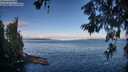 ./images/koeye/fitz-hugh/20260610/fitz-hugh20260610_074501M.jpg