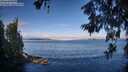 ./images/koeye/fitz-hugh/20260610/fitz-hugh20260610_075001M.jpg