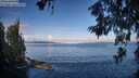 ./images/koeye/fitz-hugh/20260610/fitz-hugh20260610_075501M.jpg