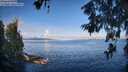 ./images/koeye/fitz-hugh/20260610/fitz-hugh20260610_080001M.jpg