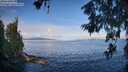 ./images/koeye/fitz-hugh/20260610/fitz-hugh20260610_080501M.jpg