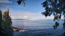 ./images/koeye/fitz-hugh/20260610/fitz-hugh20260610_081001M.jpg