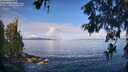 ./images/koeye/fitz-hugh/20260610/fitz-hugh20260610_082001M.jpg