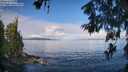 ./images/koeye/fitz-hugh/20260610/fitz-hugh20260610_082501M.jpg