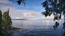 ./images/koeye/fitz-hugh/20260610/fitz-hugh20260610_083001M.jpg
