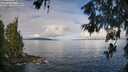 ./images/koeye/fitz-hugh/20260610/fitz-hugh20260610_083501M.jpg