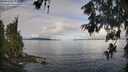 ./images/koeye/fitz-hugh/20260610/fitz-hugh20260610_084501M.jpg