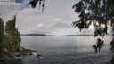 ./images/koeye/fitz-hugh/20260610/fitz-hugh20260610_085001M.jpg