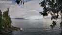 ./images/koeye/fitz-hugh/20260610/fitz-hugh20260610_085501M.jpg