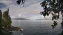 ./images/koeye/fitz-hugh/20260610/fitz-hugh20260610_090001M.jpg