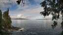 ./images/koeye/fitz-hugh/20260610/fitz-hugh20260610_091002M.jpg