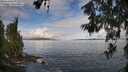 ./images/koeye/fitz-hugh/20260610/fitz-hugh20260610_091501M.jpg