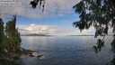 ./images/koeye/fitz-hugh/20260610/fitz-hugh20260610_092501M.jpg