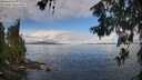 ./images/koeye/fitz-hugh/20260610/fitz-hugh20260610_093001M.jpg