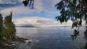 ./images/koeye/fitz-hugh/20260610/fitz-hugh20260610_094501M.jpg