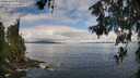 ./images/koeye/fitz-hugh/20260610/fitz-hugh20260610_095001M.jpg