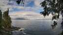 ./images/koeye/fitz-hugh/20260610/fitz-hugh20260610_095501M.jpg