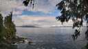 ./images/koeye/fitz-hugh/20260610/fitz-hugh20260610_100001M.jpg
