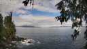 ./images/koeye/fitz-hugh/20260610/fitz-hugh20260610_100502M.jpg
