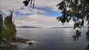 ./images/koeye/fitz-hugh/20260610/fitz-hugh20260610_101501M.jpg