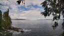 ./images/koeye/fitz-hugh/20260610/fitz-hugh20260610_102501M.jpg