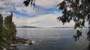./images/koeye/fitz-hugh/20260610/fitz-hugh20260610_103001M.jpg